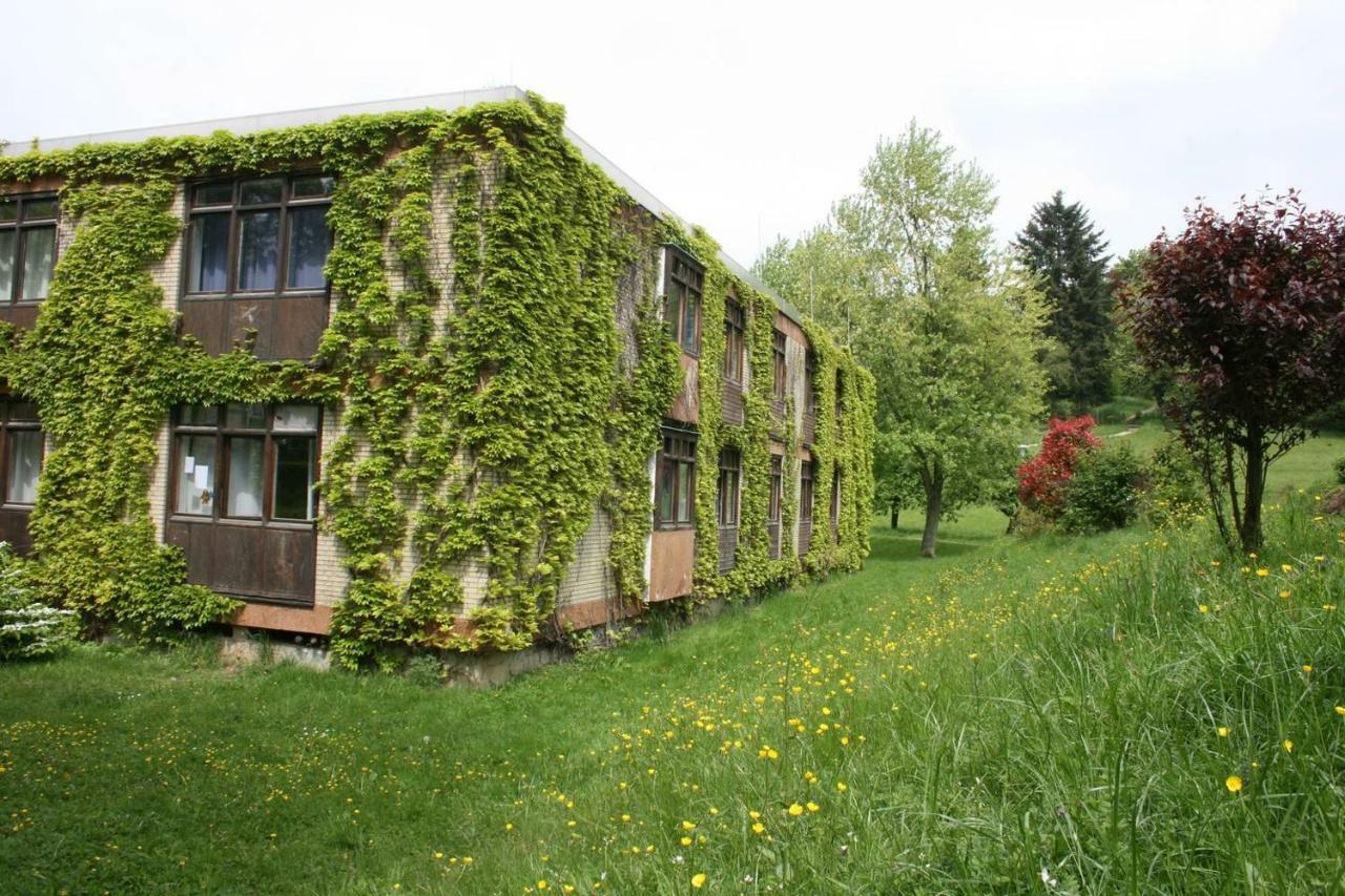 Talblick Appartement In Traumhafter Lage! Ober-Hambach Kültér fotó