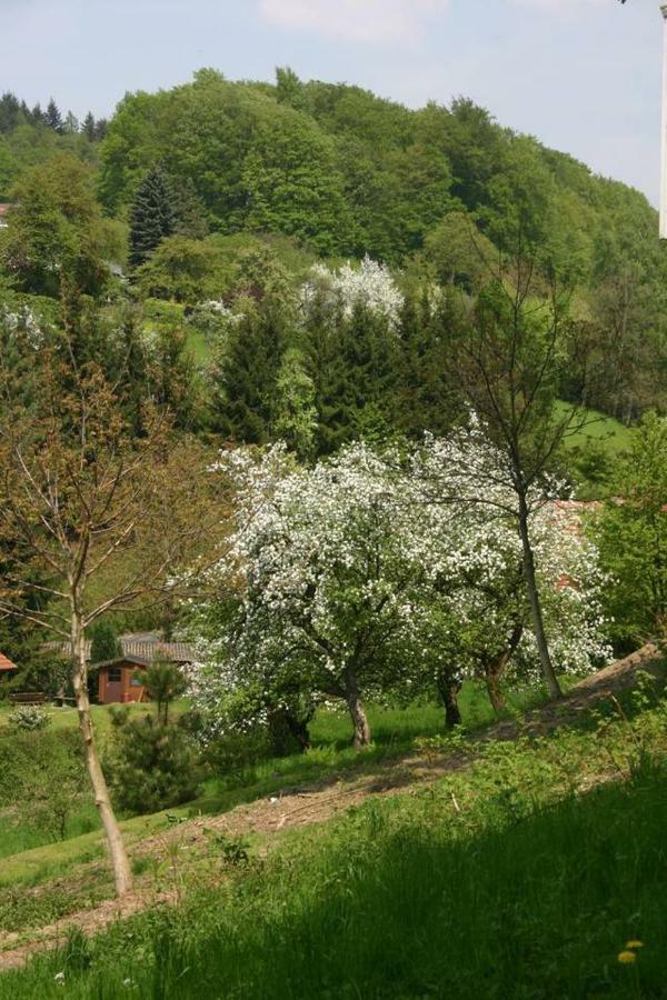 Talblick Appartement In Traumhafter Lage! Ober-Hambach Kültér fotó