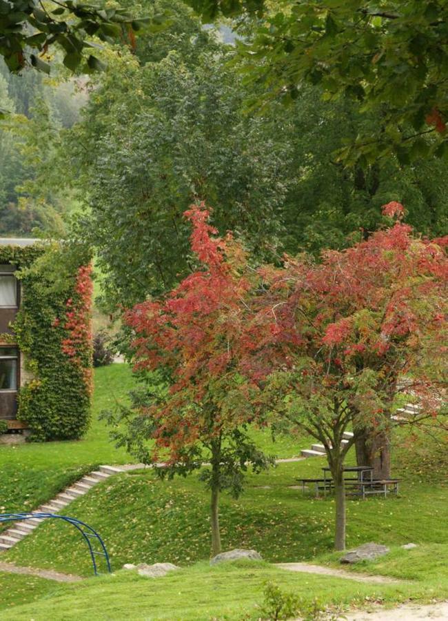Talblick Appartement In Traumhafter Lage! Ober-Hambach Kültér fotó